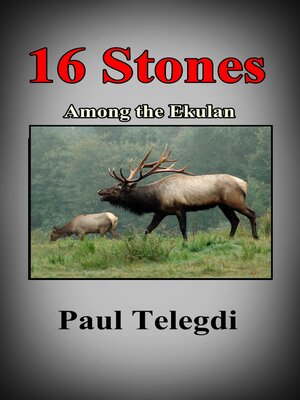 cover image of 16 Stones
